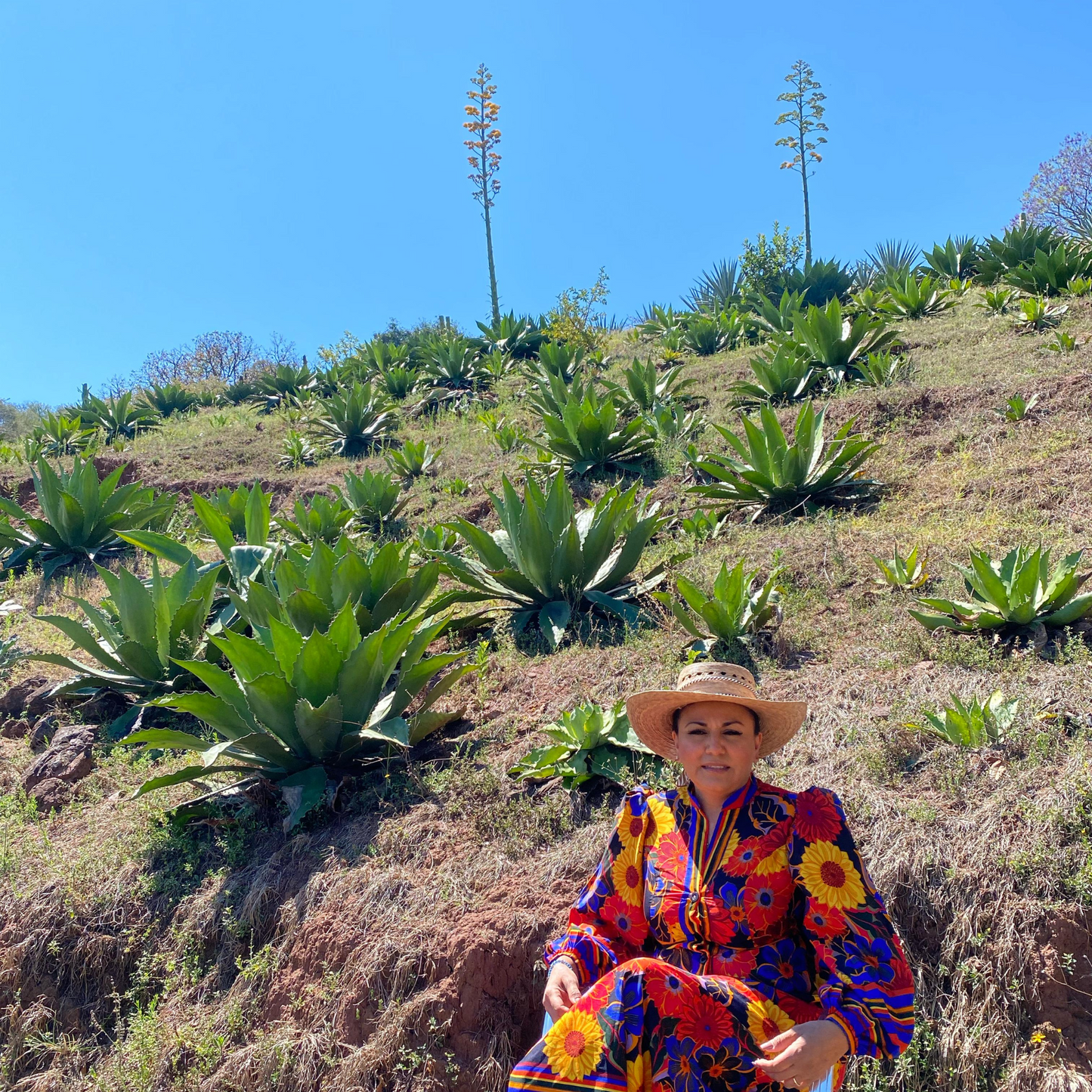 Mezcal Artesanal Michoacano ARROQUEÑO