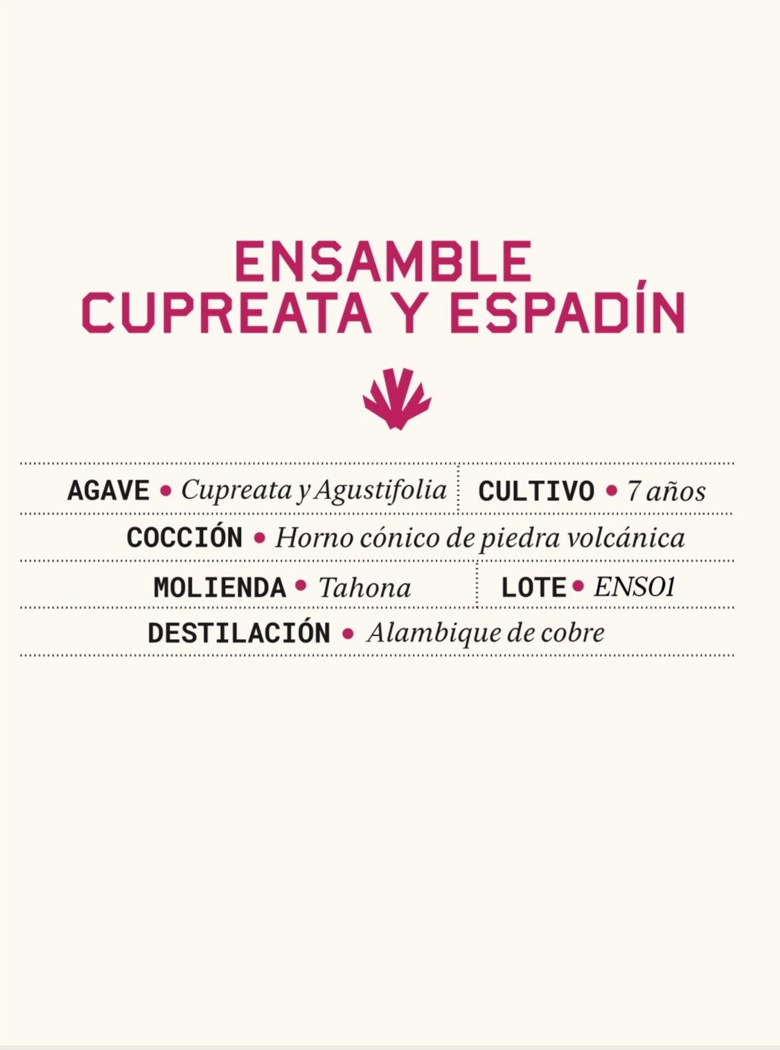 Mezcal Artesanal ENSAMBLE Cupreata y Espadín